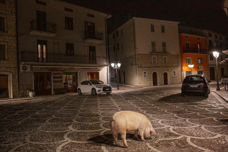 Chicken road gioco a Italy